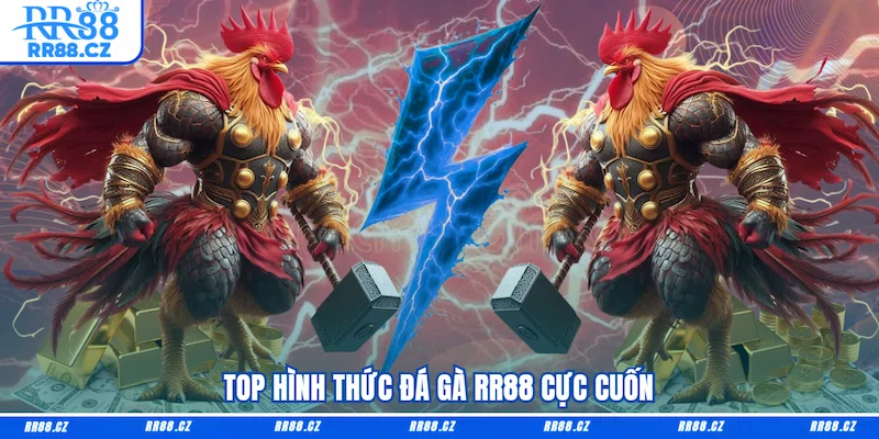 Top hình thức Đá gà RR88 cực cuốn